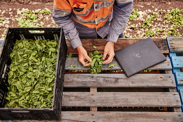 HP ProBook Fortis G9 14" N6000, 8GB, 128GB SSD, Win 11 Pro - notebook, Black HP ProBook Fortis G9 14" N6000, 8GB, 128GB SSD, Win 11 Pro - notebook, Black