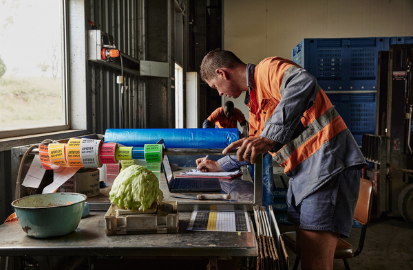 HP ProBook Fortis G9 14" N6000, 8 GB, 128 GB SSD, Win 11 Pro - bärbar dator, Svart HP ProBook Fortis G9 14" N6000, 8 GB, 128 GB SSD, Win 11 Pro - bärbar dator, Svart