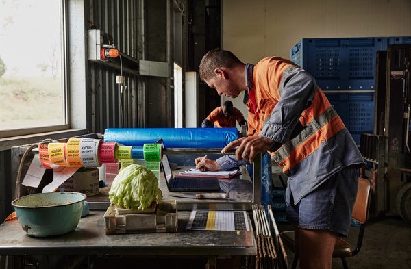 HP ProBook Fortis G9 14" N6000, 8GB, 128GB SSD, Win 11 Pro - notebook, Black HP ProBook Fortis G9 14" N6000, 8GB, 128GB SSD, Win 11 Pro - notebook, Black