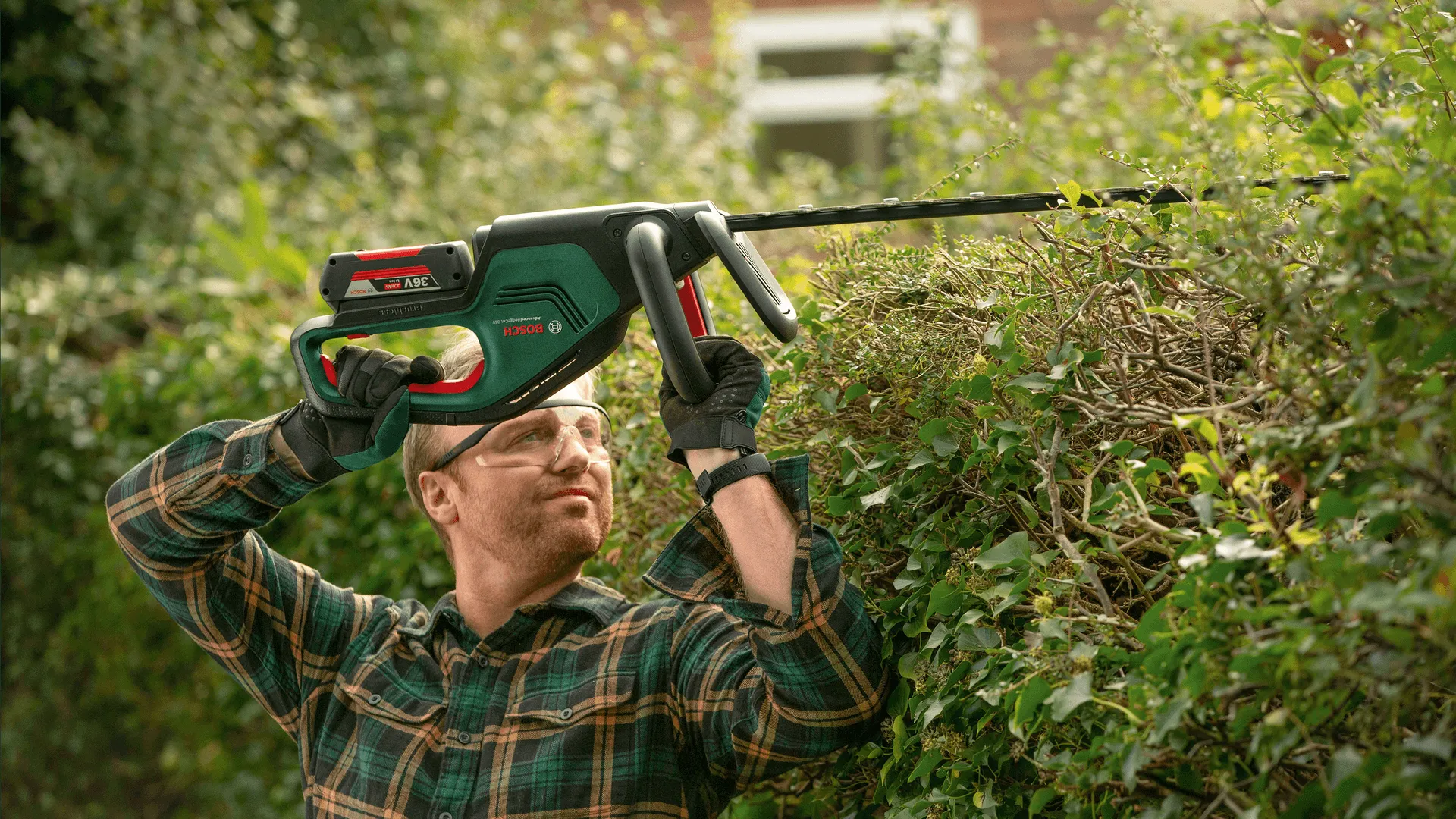 Bosch AdvancedHedgeCut 36 H&aelig;ktrimmer