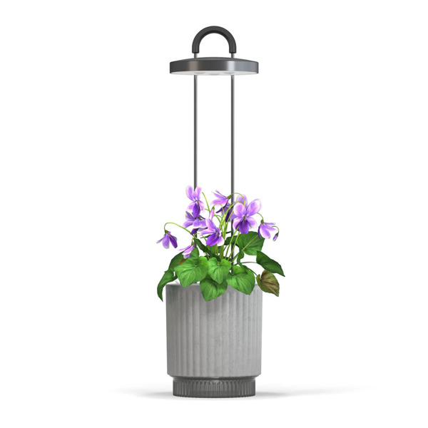 Click & Grow HydroVase - Gr&aring;
