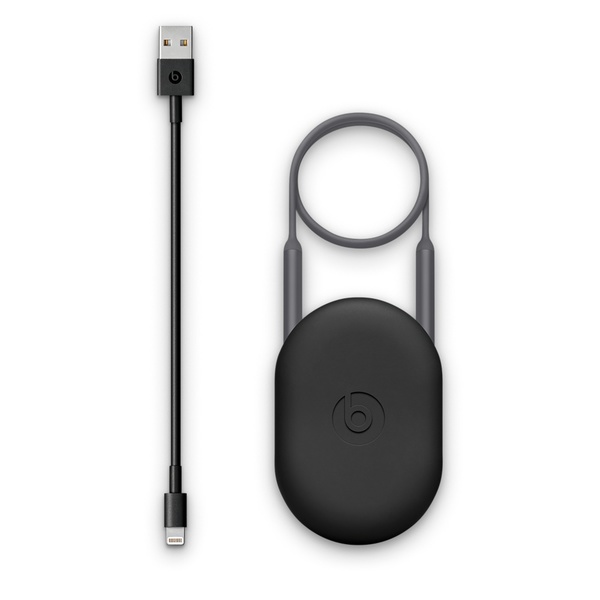BeatsX Earphones - Grey