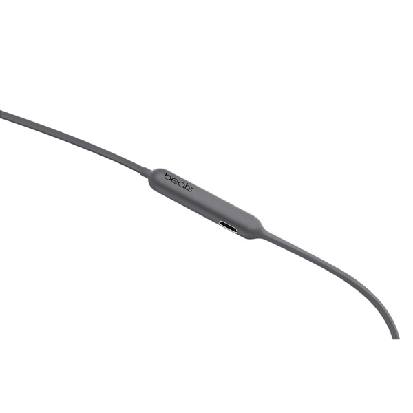 BeatsX Earphones - Grey