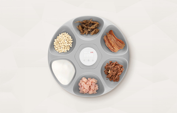 ROJECO RWSQ-07 6-Meal Automatic Pet Feeder