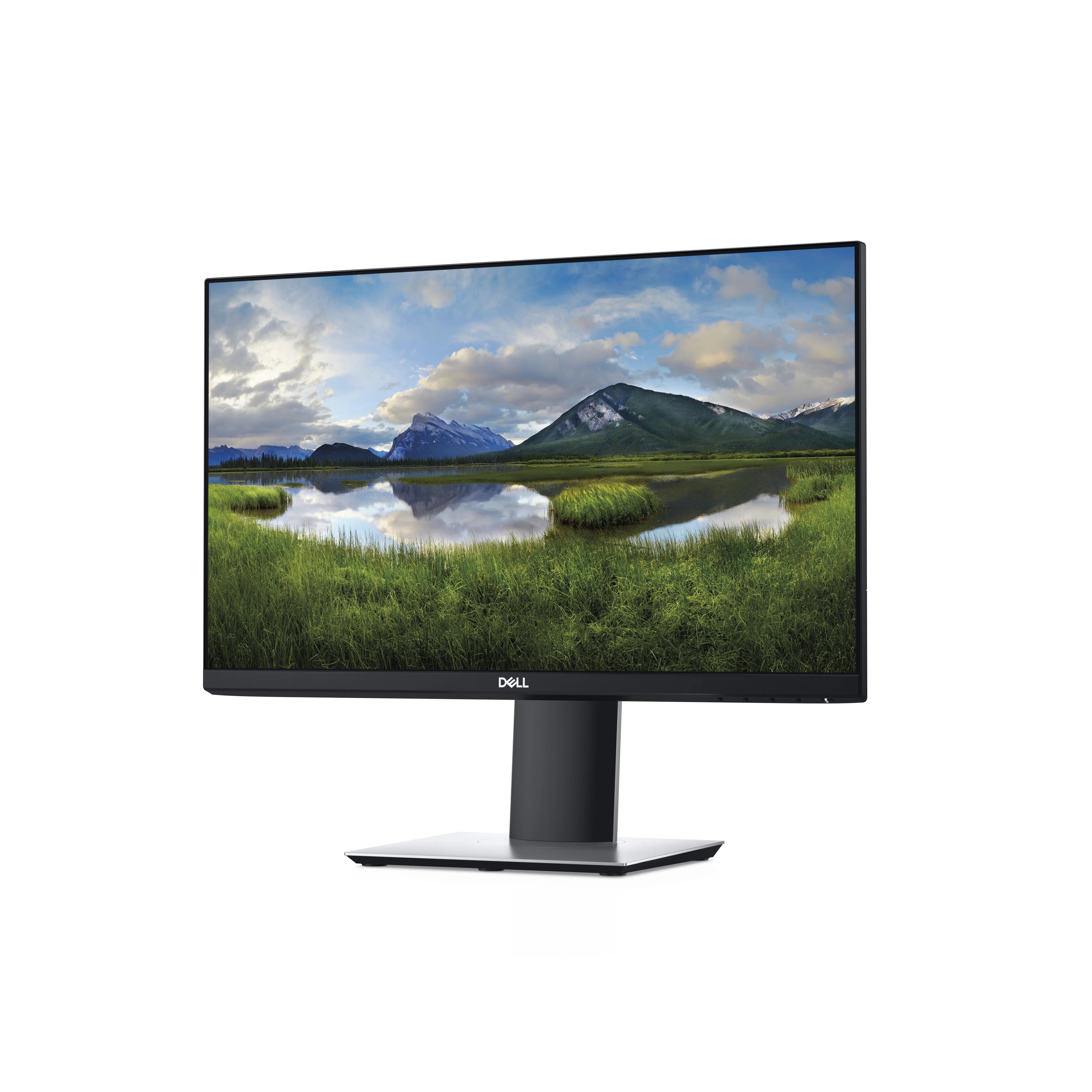 Dell 21.5" Professional P2219H, Full HD, IPS - monitor