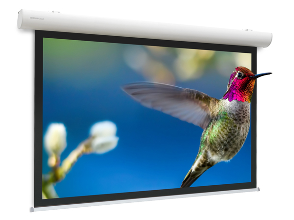 Projecta Elpro Concept RF 320x204 Datalux