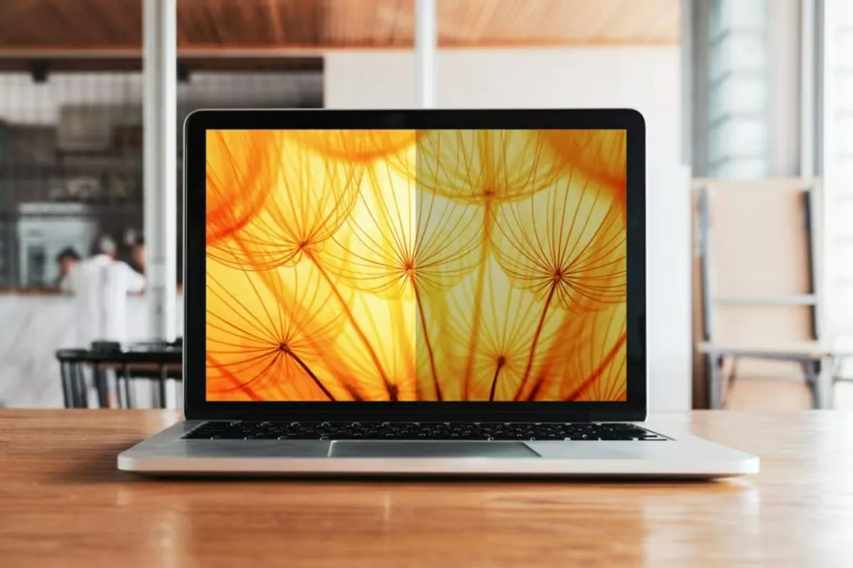 3M Bright Screen Privacy Filter 17.3'' Laptop (16:9)