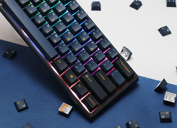 Ducky One 3 Pro Nazca Line 60% Mechanical Gaming Keyboard, Cherry MX2A Speed Silver