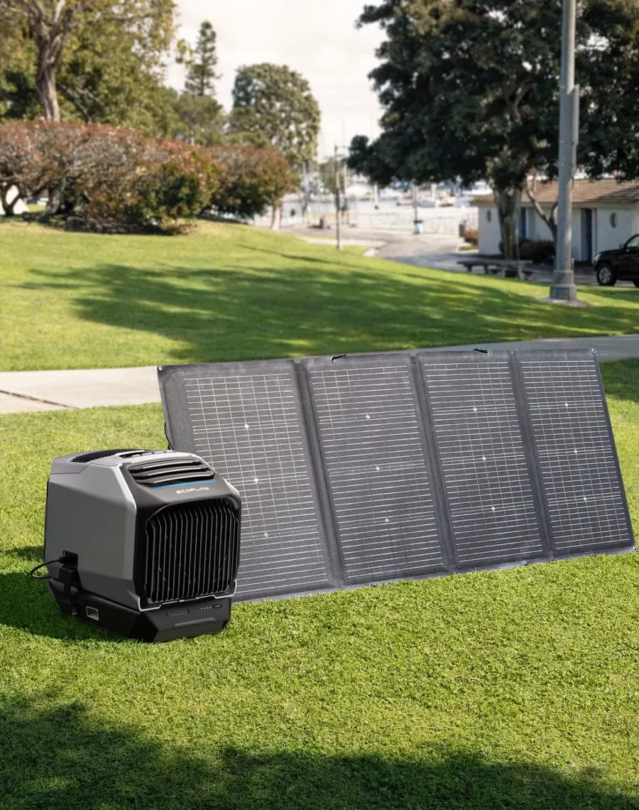Ecoflow Wave 2 - power station