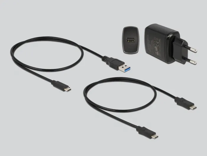 Delock M.2 Docking Station for 2 x M.2 NVMe PCIe SSD with Clone functi