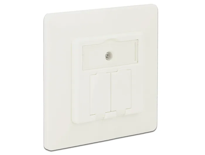 Delock Keystone Wall Outlet 2 Port compact