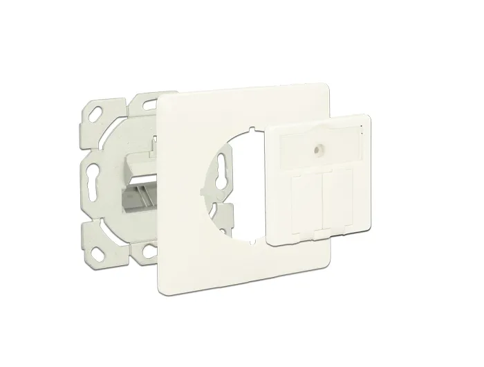 Delock Keystone Wall Outlet 2 Port compact