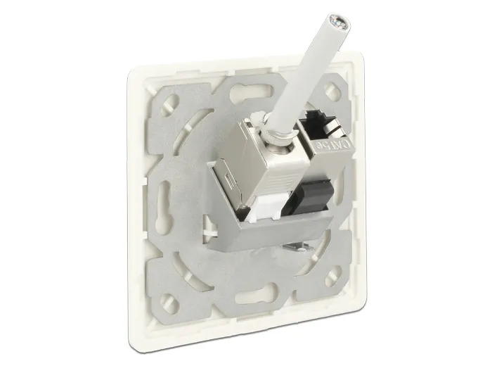 Delock Keystone Wall Outlet 2 Port compact