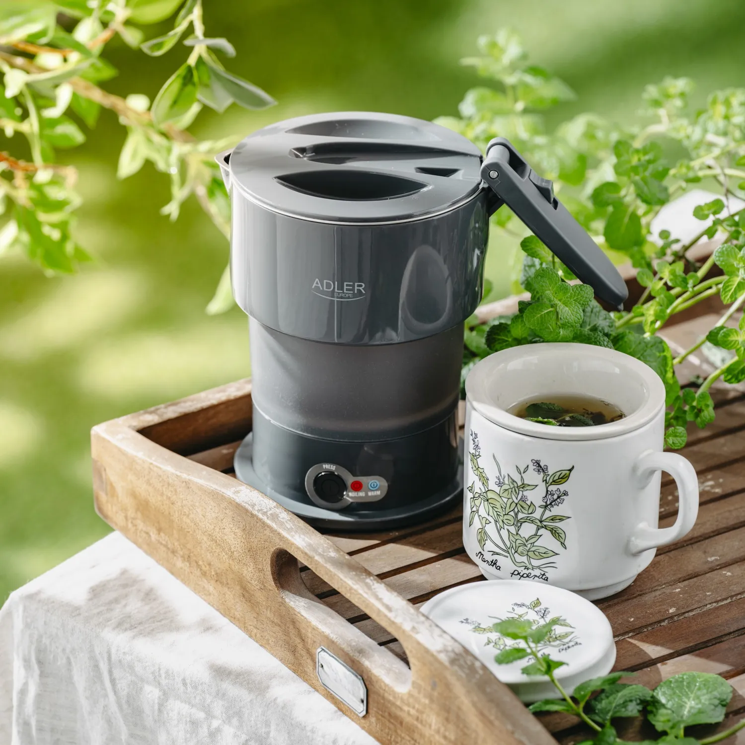 Adler AD 1377g kettle, 0.6L, 600W, Grey