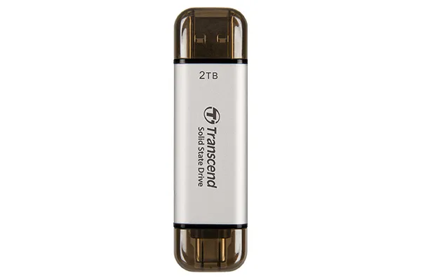 TRANSCEND TS1TESD310S