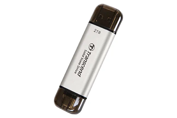 TRANSCEND TS1TESD310S