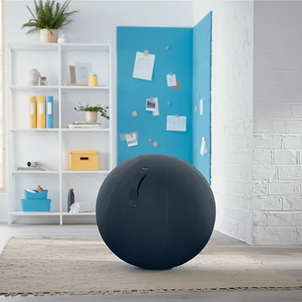 Ergo Sitting Ball Leitz Cosy Velvet Grey