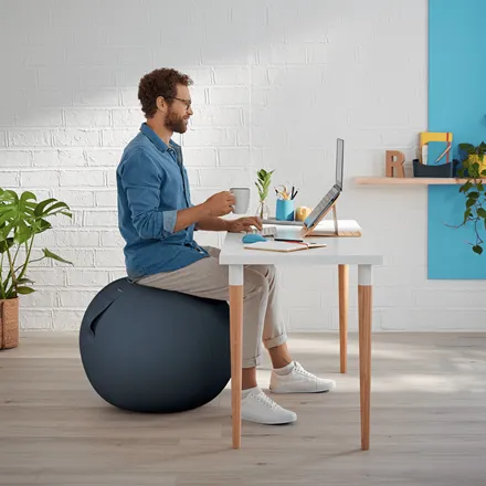 Ergo Sitting Ball Leitz Cosy Velvet Grey