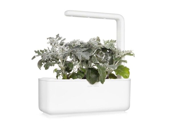 Click and Grow Smart Garden Refill 3-pack - Silverek