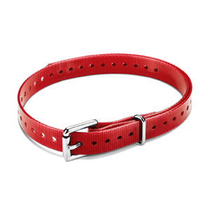 Roller Buckle Collar Strap