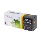 VERITABLE Lingot Butterhead Lettuce BIO