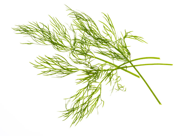 TREGREN Siemenkapseli Tilli 2kpl