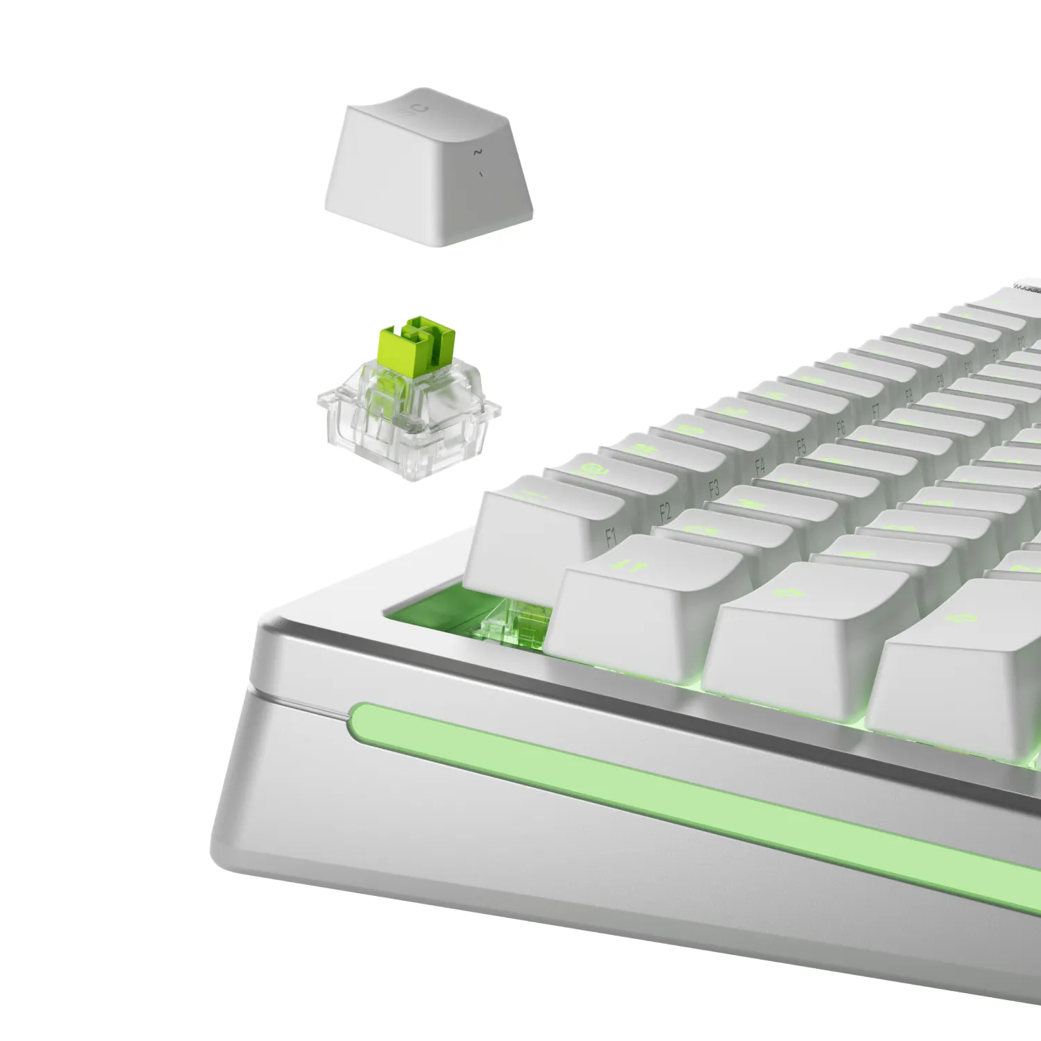 Glorious HE Switches (36pcs) - Raptor - Lubed - [Clicky] 55g