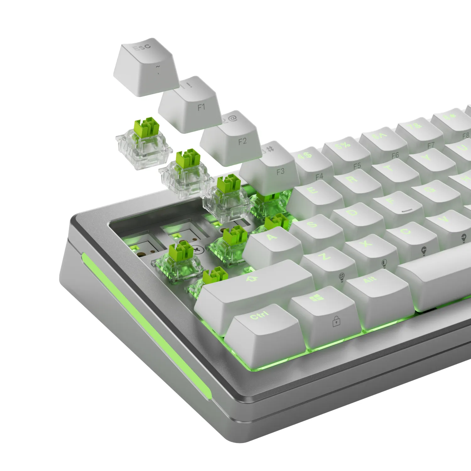 Glorious HE Switches (36pcs) - Raptor - Lubed - [Clicky] 55g