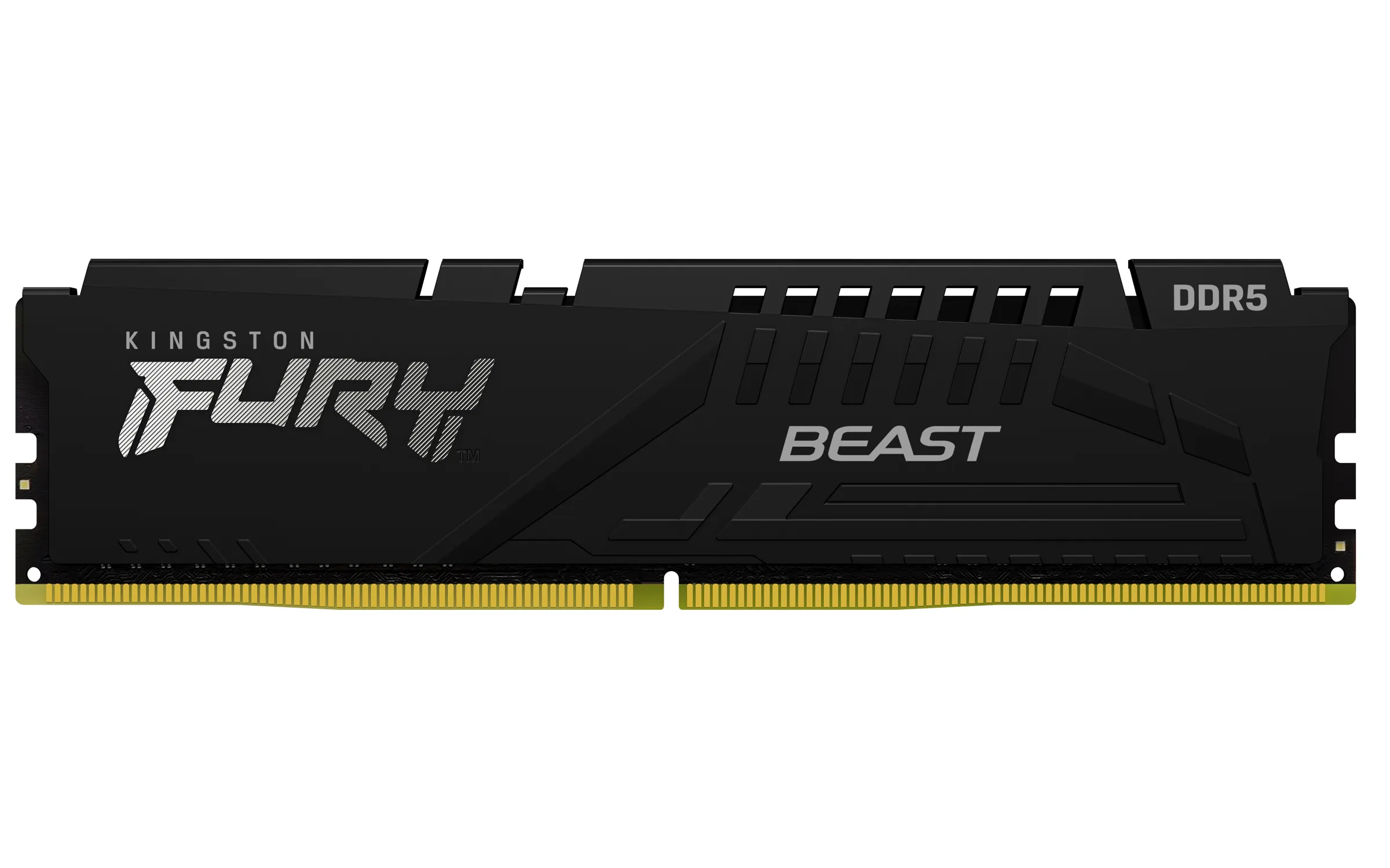 Kingston Fury Beast Black 16GB (1x16GB) DDR5 6000MT/s CL36 EXPO