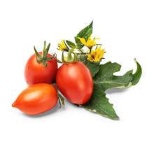 VERITABLE Lingot Red Mini tomato