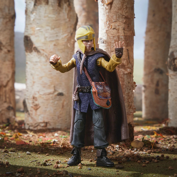 Dungeons &amp; Dragons Movie 6 Inch Figure Golden Archive Simon