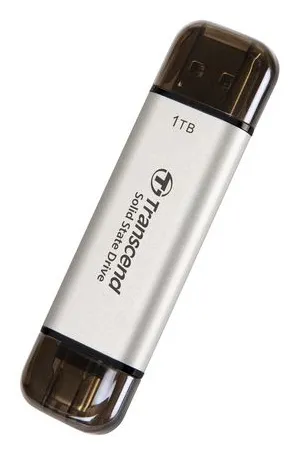 TRANSCEND TS1TESD310S