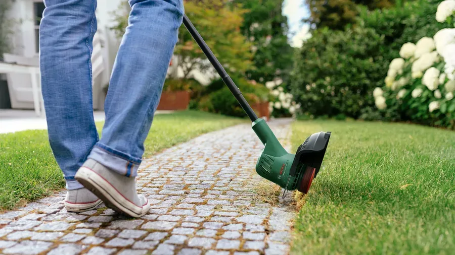 Bosch EasyGrassCut 18V-260 - battery grass trimmer