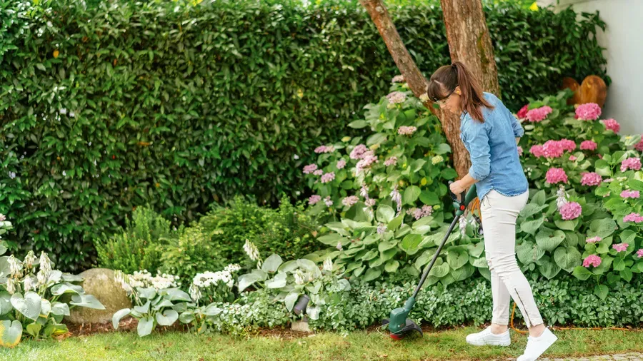 Bosch EasyGrassCut 18V-260 - battery grass trimmer