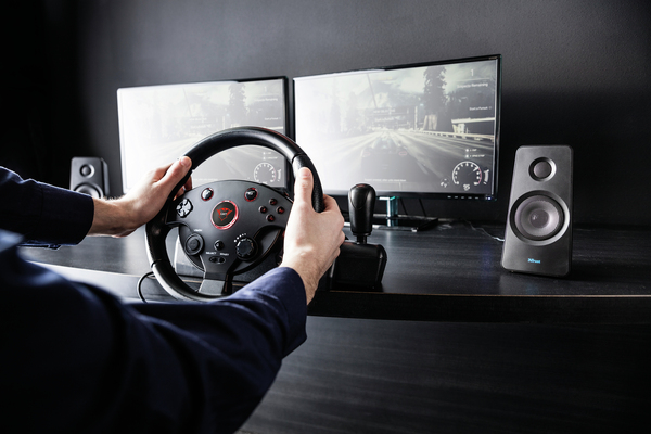 Trust GXT288 Racing Wheel (PC/PS3)