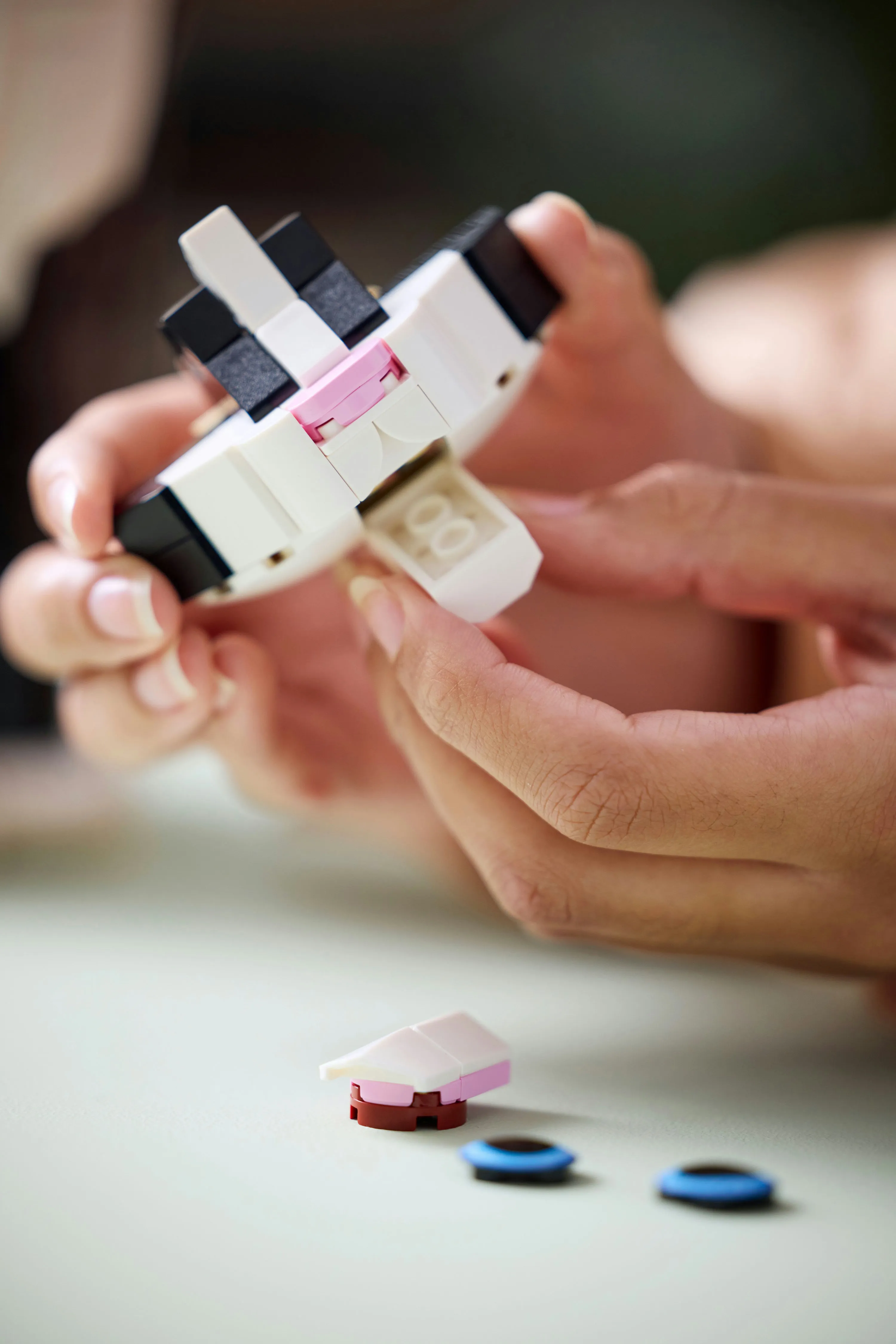 LEGO Ideas Frackkatt 21349