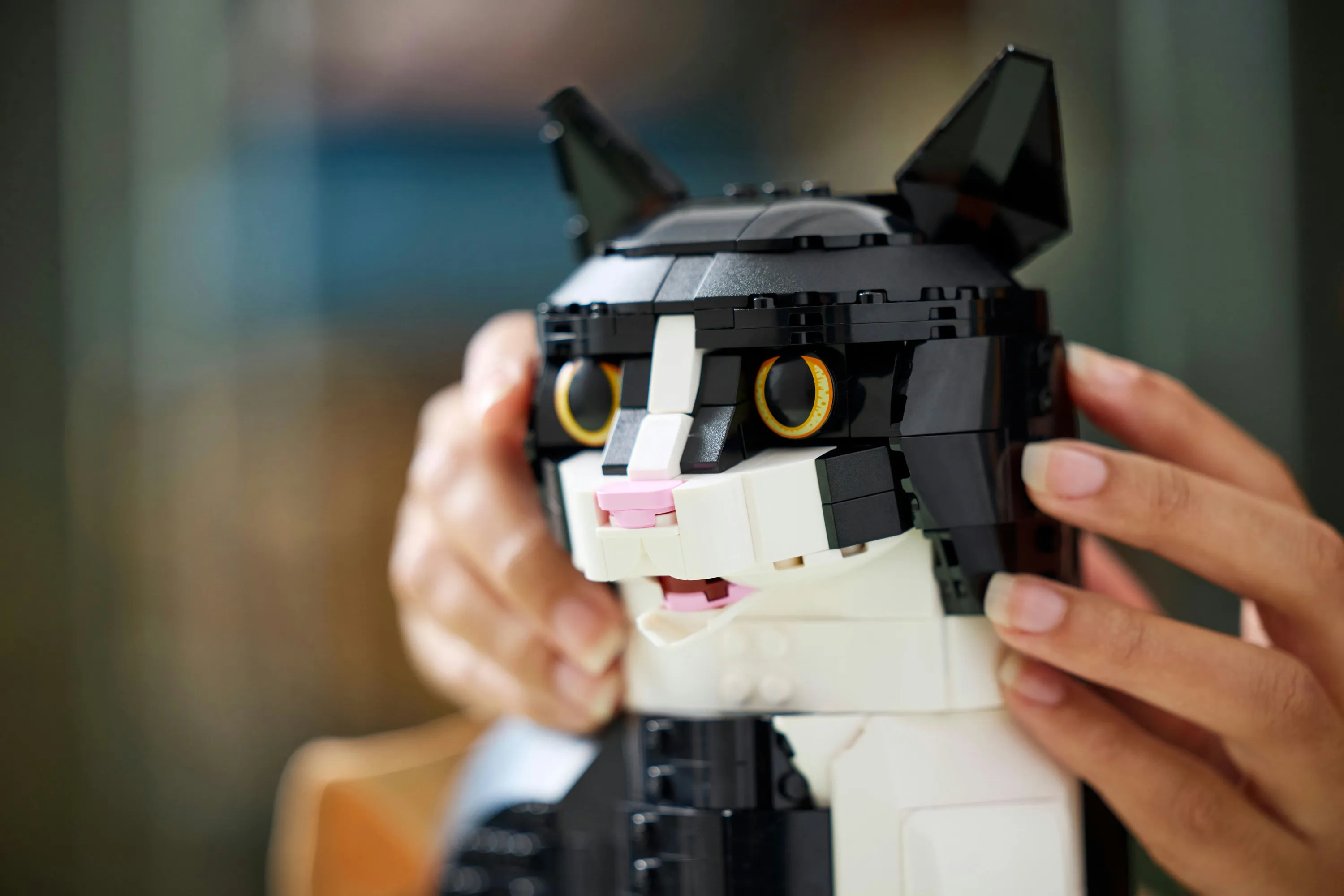 LEGO Ideas Frackkatt 21349