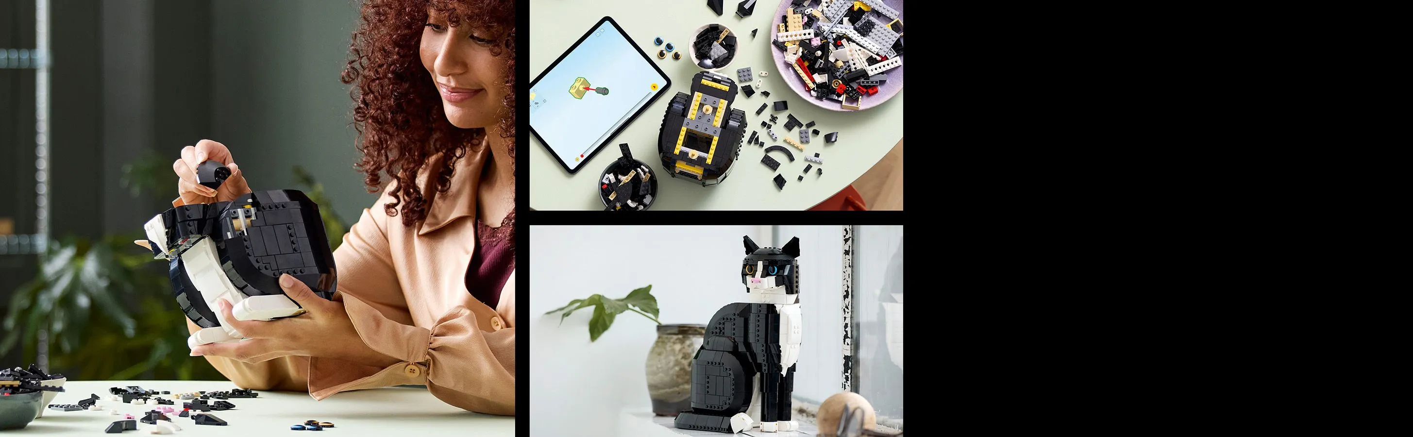 LEGO Ideas Frackkatt 21349