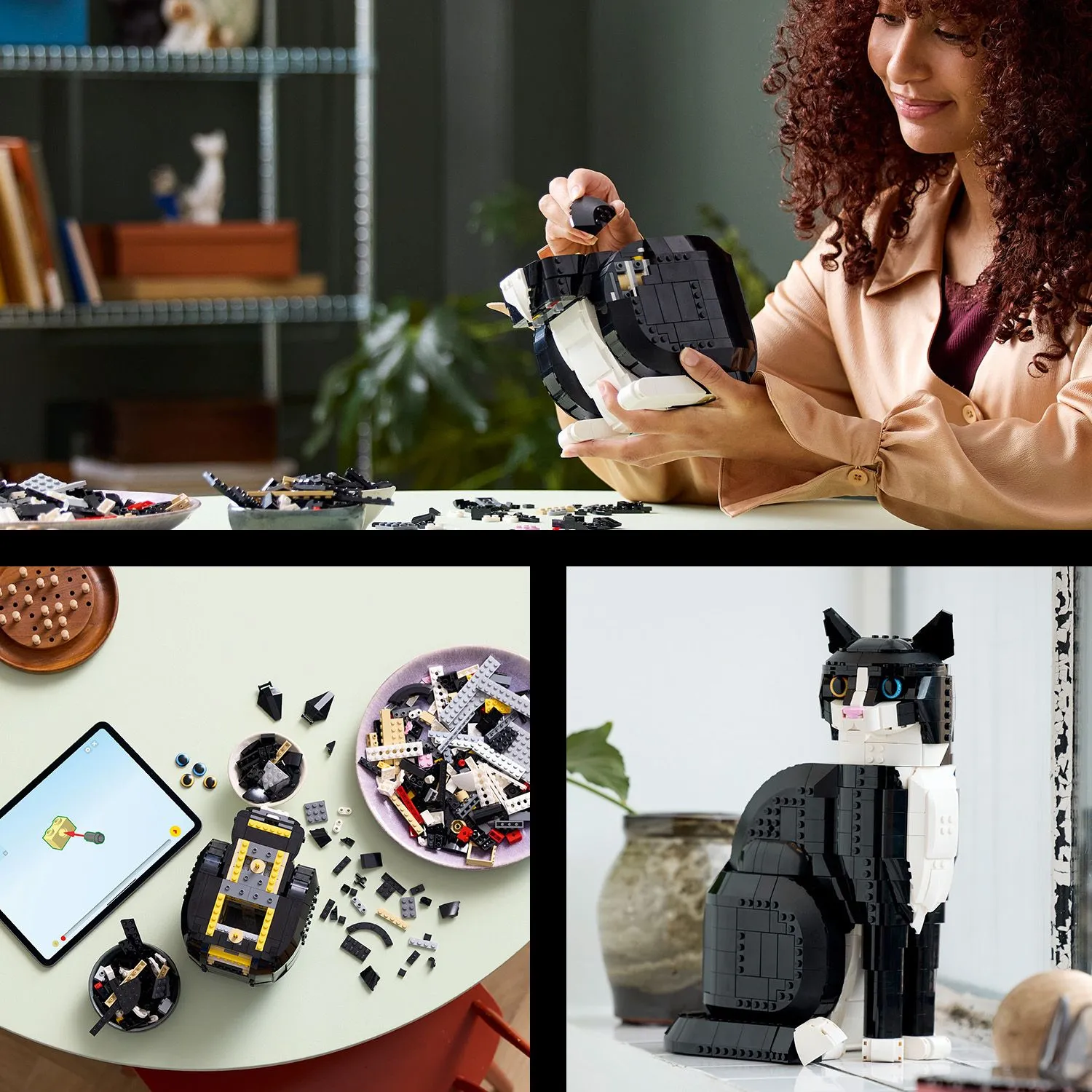 LEGO Ideas Frackkatt 21349