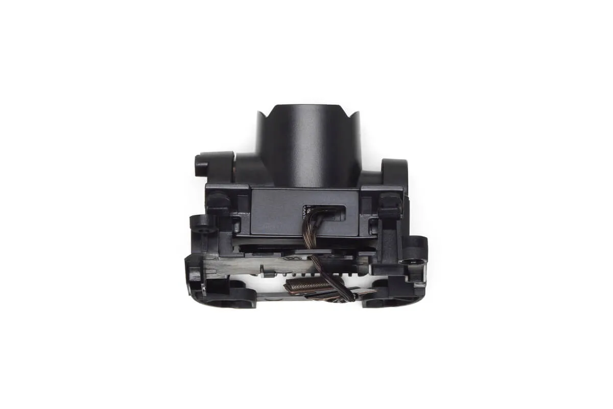 DJI FPV, Gimbal Camera