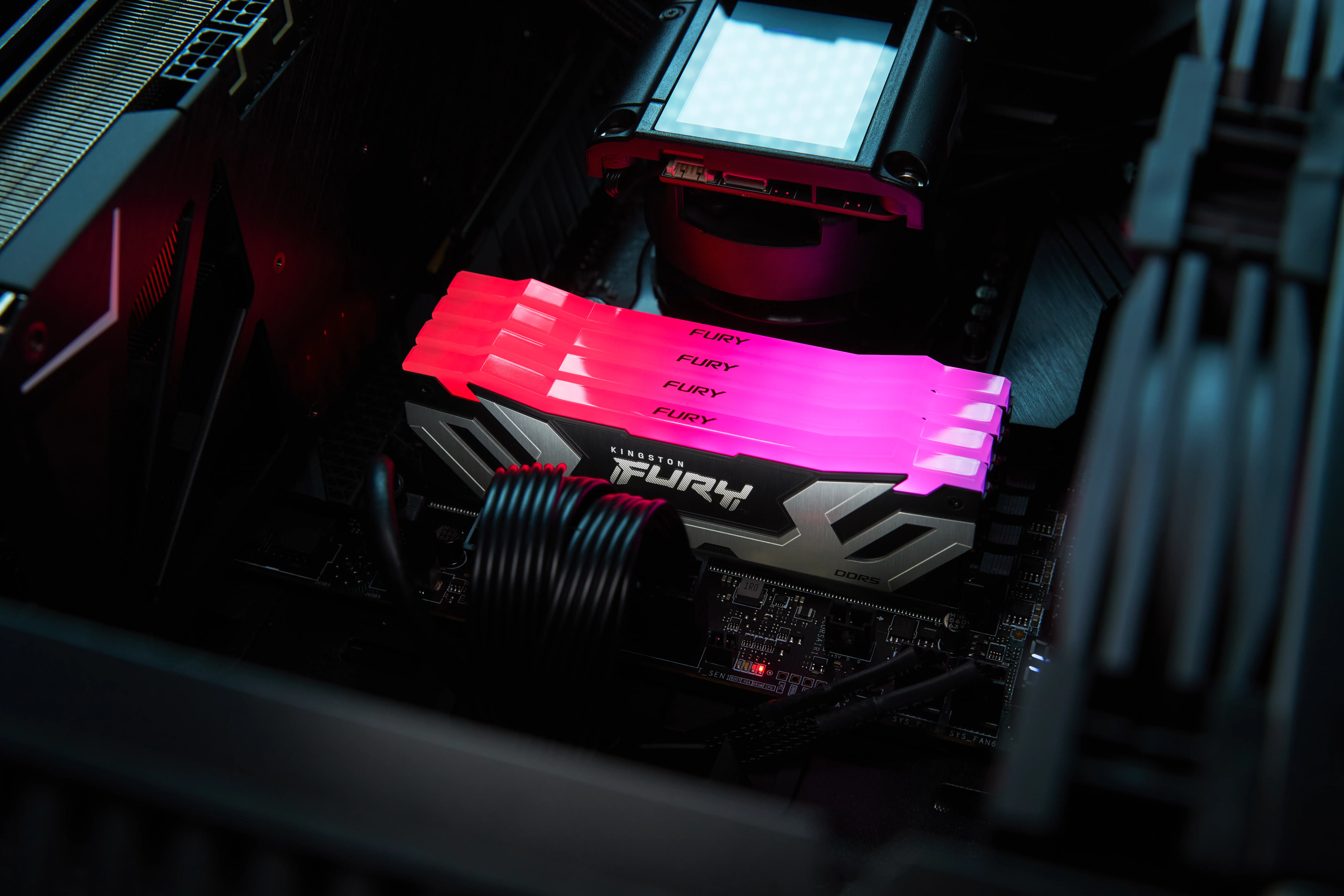 Kingston FURY Renegade RGB CUDIMM 24GB (1 x 24GB) DDR5 8800 MHz, CL42 Memory, Silver/Black (XMP)