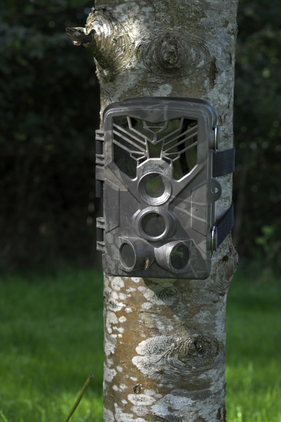 Digital Wildlife Camera with