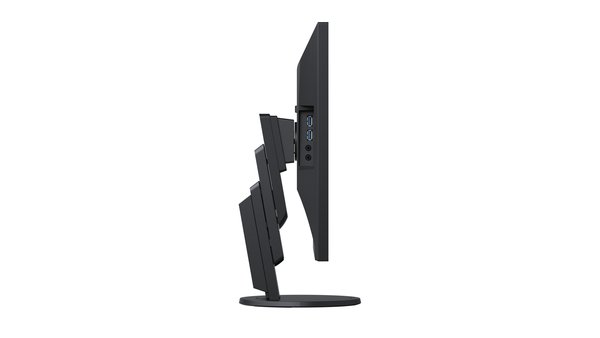 EIZO 24.1" EV2457-BK, WUXGA, IPS - sk&auml;rm