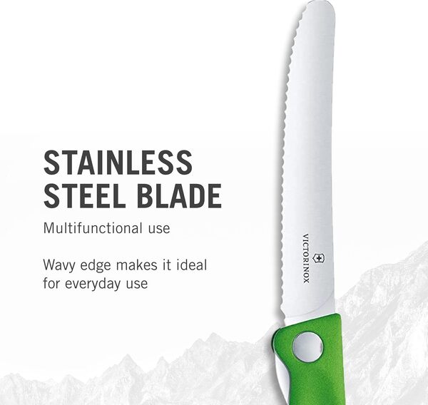 Victorinox Swiss Classic Foldable Paring Knife 110 mm Green