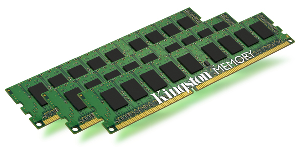 8GB 1333MHz Reg ECC Module