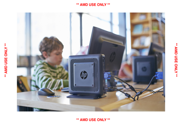 HP Flexible Thin Client t620 - Thin client - torni - 1 x GX-217GA 1.65 GHz - RAM 4 Gt - SSD 8 Gt - Radeon HD 8280E - GigE - HP ThinPro GT 32-bit - monitori: ei