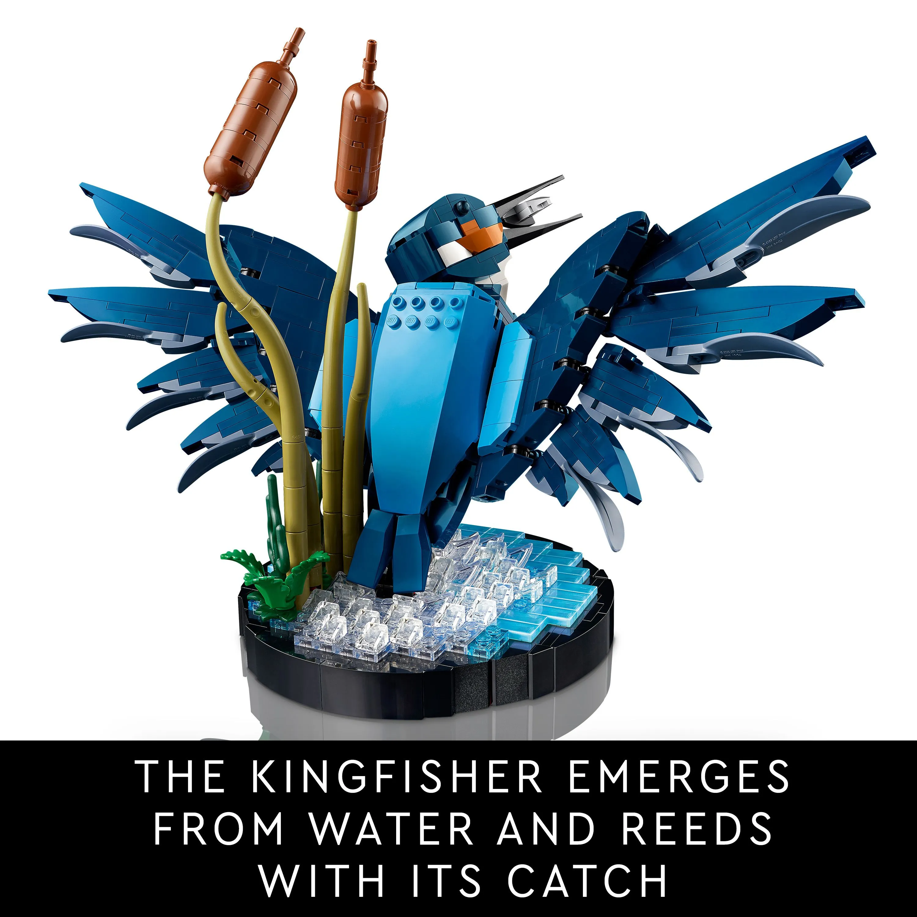 LEGO Icons Eisvogel 10331