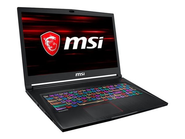 MSI 17.3" GS73 8RE | Intel Core i7-8750H 2.2GHz | 16GB RAM | GeForce GTX 1060 6GB | Windows 10 - Gaming notebook