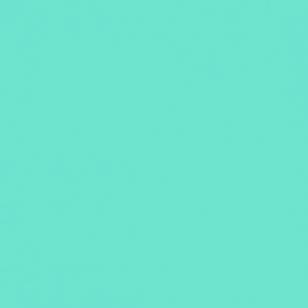 Cricut Smart Vinyl Removable 33x91cm 1 sheet (Mint)