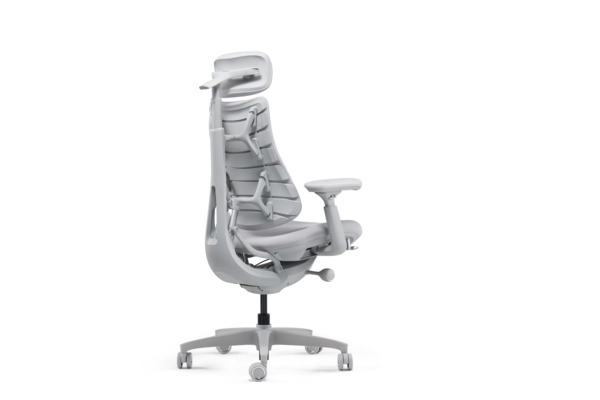 LiberNovo Omni Ergonomic Chair - 48cm Space Gray